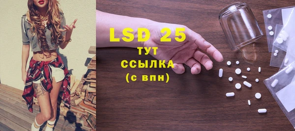 стаф Алзамай